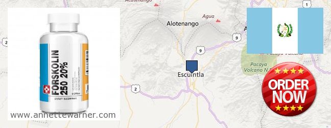Where to Buy Forskolin Extract online Escuintla, Guatemala