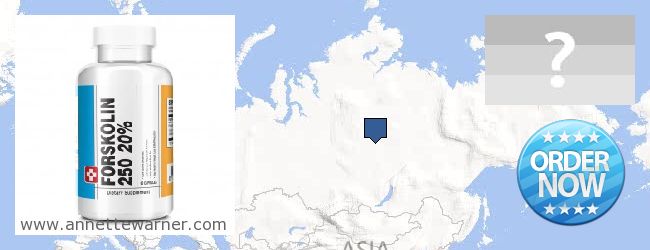 Where to Buy Forskolin Extract online Evenkiyskiy avtonomniy okrug, Russia
