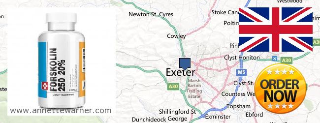 Buy Forskolin Extract online Exeter, United Kingdom