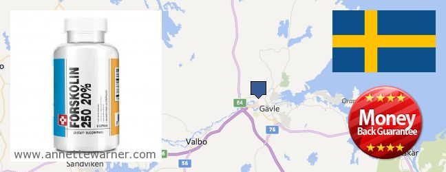 Best Place to Buy Forskolin Extract online Gavle, Sweden
