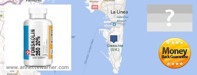 Where to Purchase Forskolin Extract online Gibraltar
