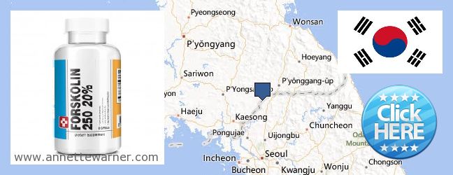 Where Can I Buy Forskolin Extract online Gyeonggi-do (Kyŏnggi-do) 경기, South Korea