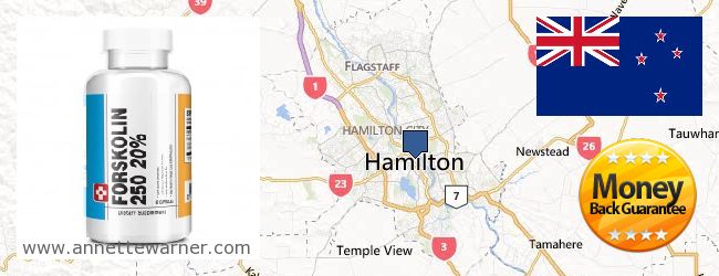Where to Buy Forskolin Extract online Hamilton, New Zealand