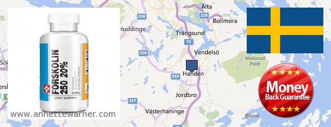 Where Can I Buy Forskolin Extract online Haninge, Sweden