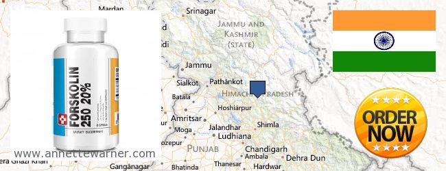 Where to Buy Forskolin Extract online Himāchal Pradesh HIM, India
