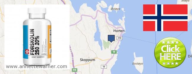 Buy Forskolin Extract online Horten, Norway