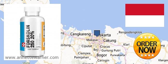 Buy Forskolin Extract online Jakarta, Indonesia