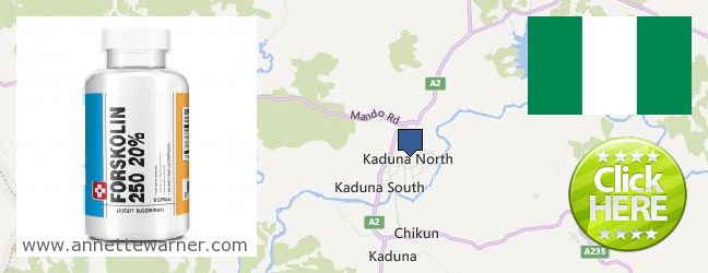 Where to Purchase Forskolin Extract online Kaduna, Nigeria