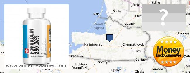 Where to Buy Forskolin Extract online Kaliningradskaya oblast, Russia