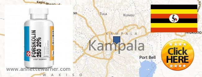 Where Can I Buy Forskolin Extract online Kampala, Uganda