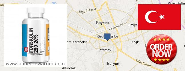 Where Can I Buy Forskolin Extract online Kayseri, Turkey