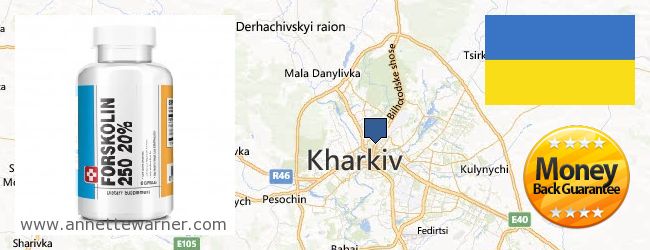 Buy Forskolin Extract online Kharkiv, Ukraine