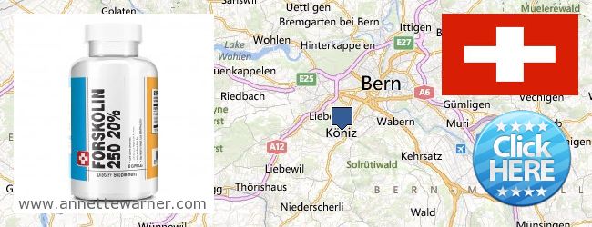 Where Can I Purchase Forskolin Extract online Köniz, Switzerland