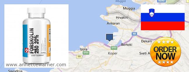 Where Can I Buy Forskolin Extract online Koper, Slovenia