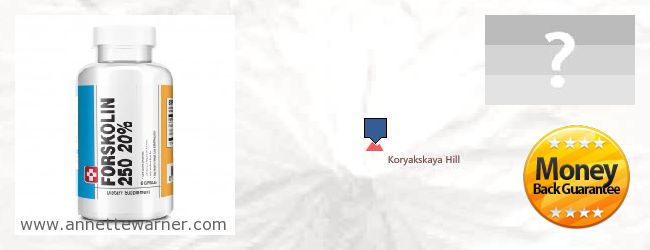 Where to Purchase Forskolin Extract online Koryakskiy avtonomniy okrug, Russia