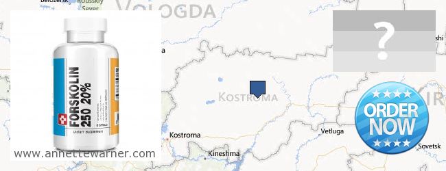 Where to Buy Forskolin Extract online Kostromskaya oblast, Russia