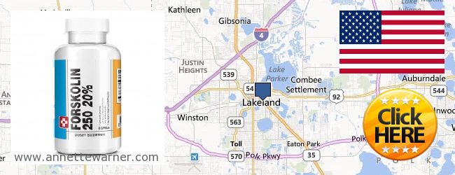 Where Can I Buy Forskolin Extract online Lakeland FL, United States