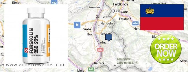 Where to Buy Forskolin Extract online Liechtenstein