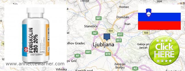 Where Can I Purchase Forskolin Extract online Ljubljana, Slovenia