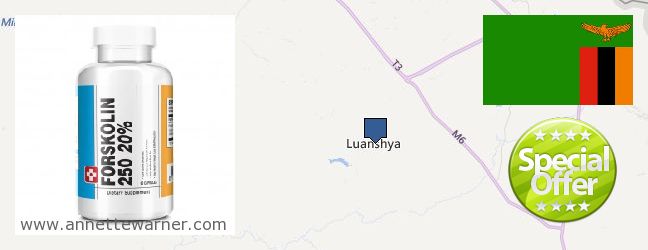 Where to Purchase Forskolin Extract online Luanshya, Zambia