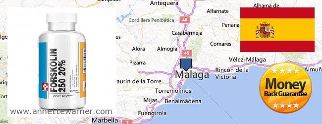 Where to Buy Forskolin Extract online Málaga, Spain