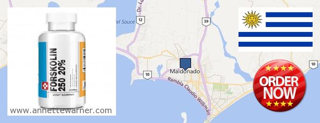 Where Can You Buy Forskolin Extract online Maldonado, Uruguay