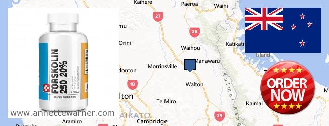 Where Can You Buy Forskolin Extract online Matamata-Piako, New Zealand