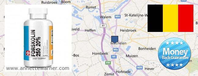 Where to Purchase Forskolin Extract online Mechelen, Belgium