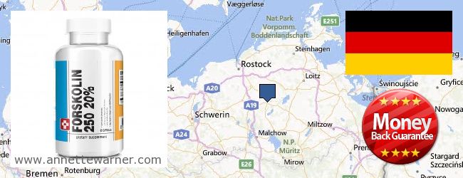 Where to Purchase Forskolin Extract online Mecklenburg-Vorpommern, Germany