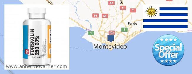 Where Can I Buy Forskolin Extract online Montevideo, Uruguay
