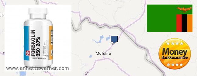 Purchase Forskolin Extract online Mufulira, Zambia