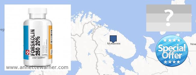 Where to Buy Forskolin Extract online Murmanskaya oblast, Russia