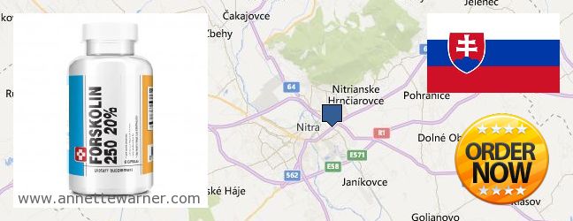Purchase Forskolin Extract online Nitra, Slovakia