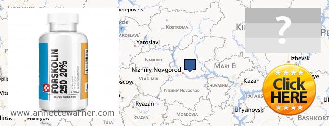 Where Can I Buy Forskolin Extract online Nizhegorodskaya oblast, Russia