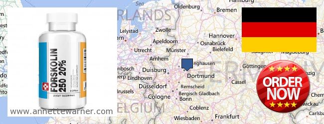 Where to Buy Forskolin Extract online Nordrhein-Westfalen, Germany