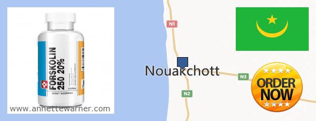 Where to Buy Forskolin Extract online Nouakchott, Mauritania
