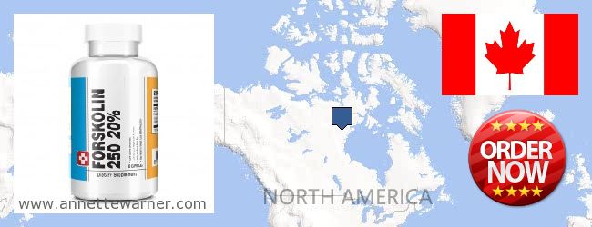 Buy Forskolin Extract online Nunavut NVT, Canada