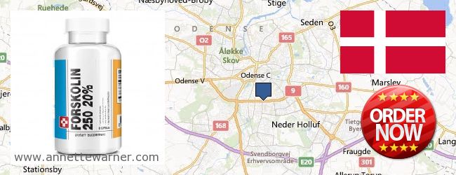 Where Can I Buy Forskolin Extract online Odense, Denmark