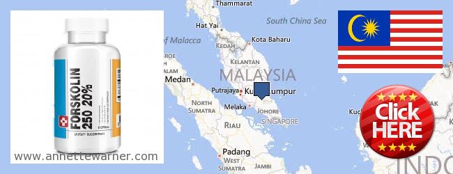 Where to Purchase Forskolin Extract online Pinang (Pulau Pinang) (Penang), Malaysia