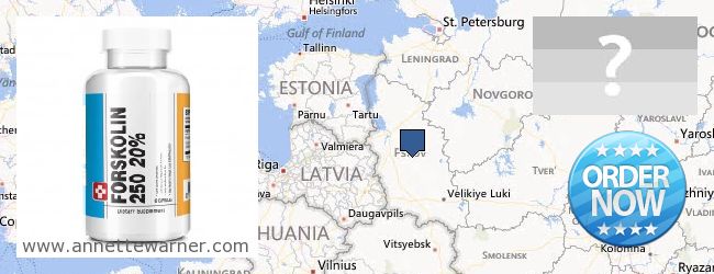 Where to Purchase Forskolin Extract online Pskovskaya oblast, Russia
