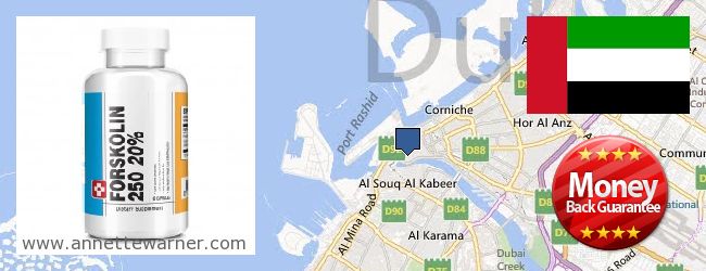 Where to Purchase Forskolin Extract online Rā's al-Khaymah [Ras al-Khaimah], United Arab Emirates