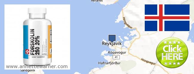 Where Can I Buy Forskolin Extract online Reykjavik, Iceland