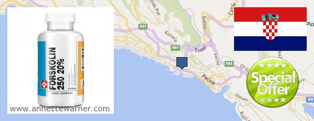 Where to Buy Forskolin Extract online Rijeka, Croatia