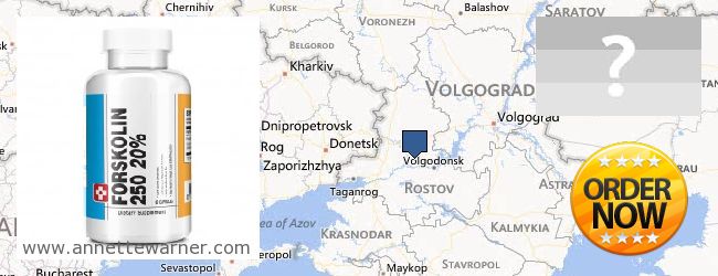 Where to Buy Forskolin Extract online Rostovskaya oblast, Russia