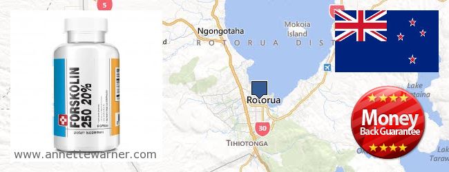 Where to Buy Forskolin Extract online Rotorua, New Zealand