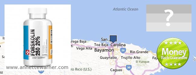 Where to Buy Forskolin Extract online San Juan, Puerto Rico