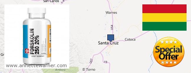 Where to Buy Forskolin Extract online Santa Cruz de la Sierra, Bolivia
