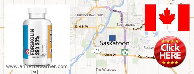 Where to Purchase Forskolin Extract online Saskatoon SASK, Canada