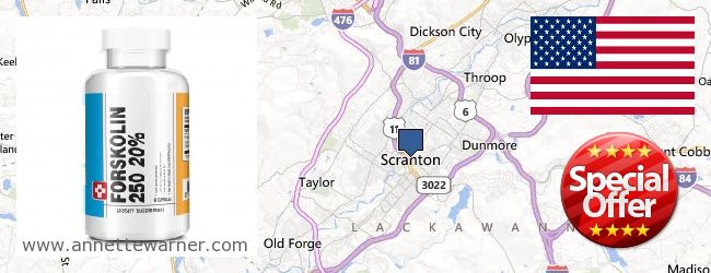 Buy Forskolin Extract online Scranton PA, United States