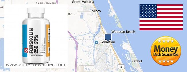 Where Can I Buy Forskolin Extract online Sebastian FL, United States